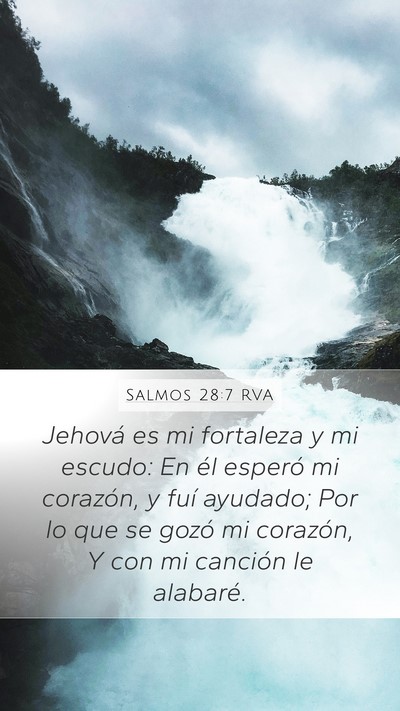 Salmos 28:7 RVA Bible Verse Image