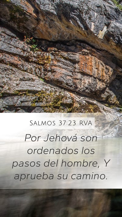 Salmos 37:23 RVA Bible Verse Image