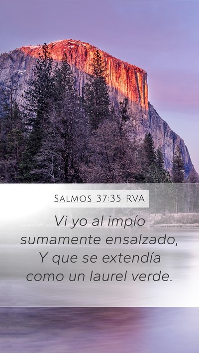 Salmos 37:35 RVA Bible Verse Image