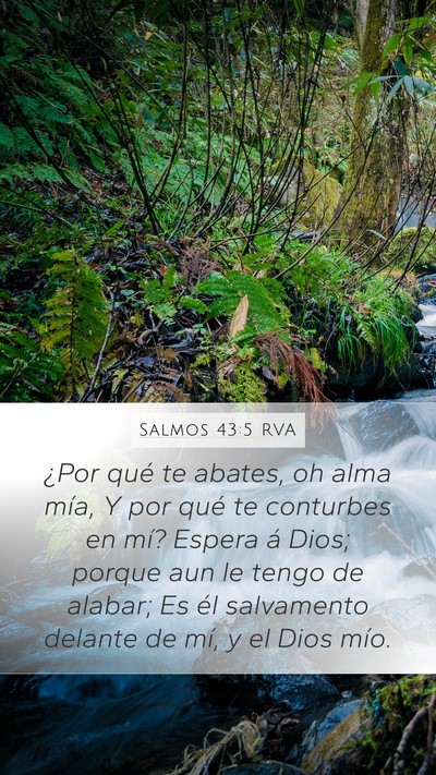 Salmos 43:5 RVA Bible Verse Image