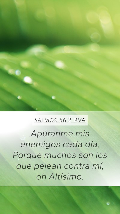 Salmos 56:2 RVA Bible Verse Image