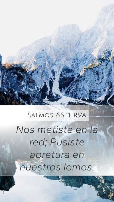 Salmos 66:11 RVA Bible Verse Image