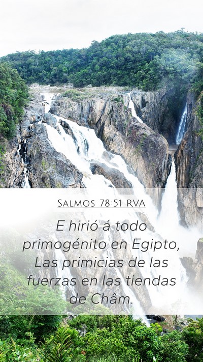 Salmos 78:51 RVA Bible Verse Image