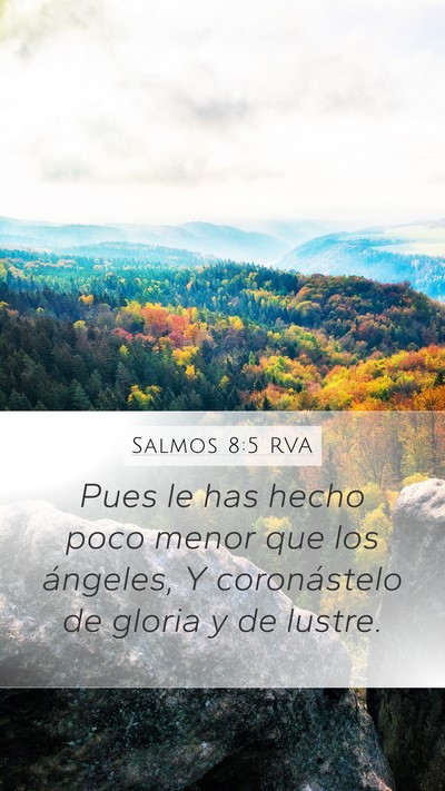 Salmos 8:5 RVA Bible Verse Image