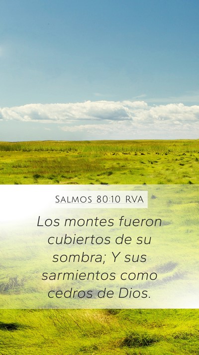 Salmos 80:10 RVA Mobile Phone Wallpaper - Los montes fueron cubiertos de su sombra; Y sus - Mobile Bible Verse Wallpaper