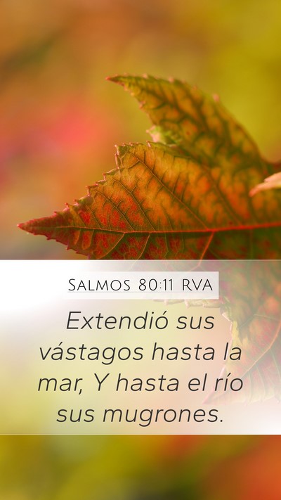 Salmos 80:11 RVA Bible Verse Image