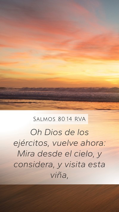 Salmos 80:14 RVA Bible Verse Image