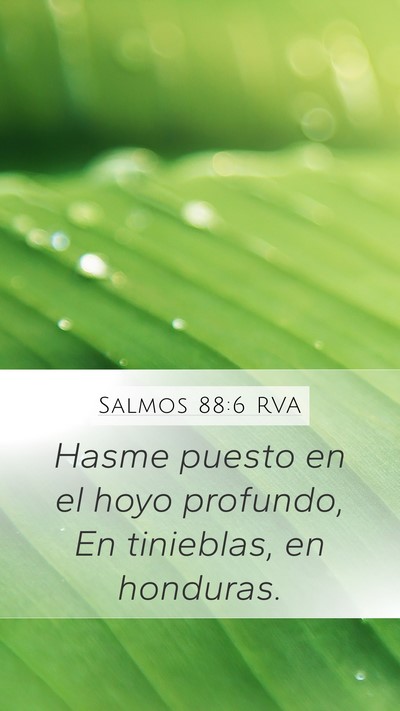 Salmos 88:6 RVA Bible Verse Image