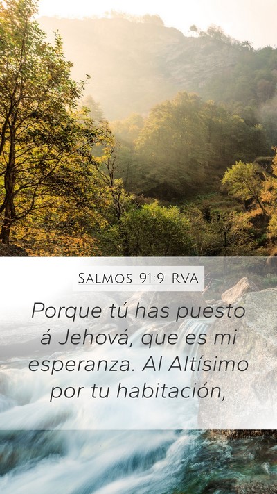 Salmos 91:9 RVA Bible Verse Image