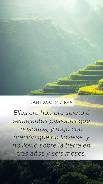 Santiago 5:17 RVA Bible Verse Image