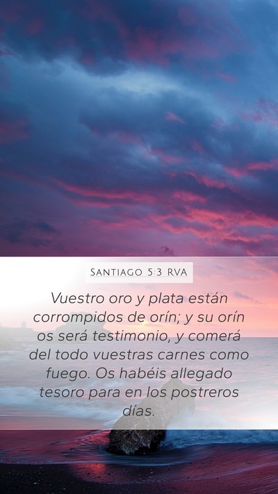Santiago 5:3 RVA Mobile Phone Wallpaper - Vuestro oro y plata están corrompidos de orín; - Mobile Bible Verse Wallpaper