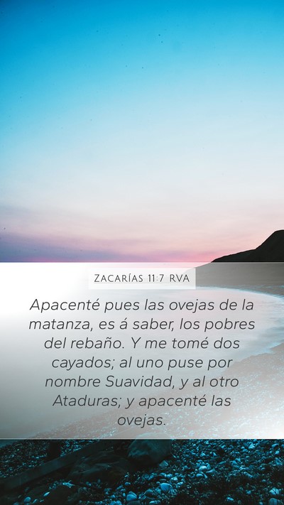 Zacarías 11:7 RVA Bible Verse Image