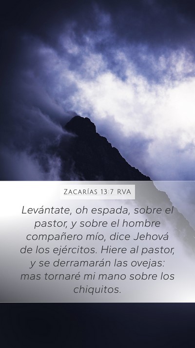 Zacarías 13:7 RVA Bible Verse Image