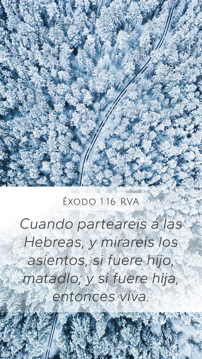 Éxodo 1:16 RVA Bible Verse Image