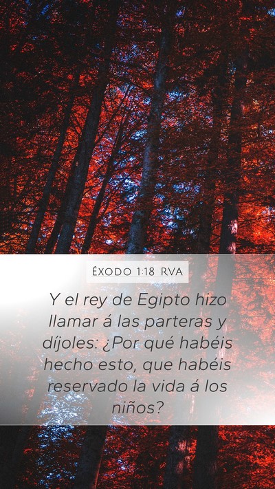 Éxodo 1:18 RVA Mobile Phone Wallpaper - Y el rey de Egipto hizo llamar á las parteras y - Mobile Bible Verse Wallpaper