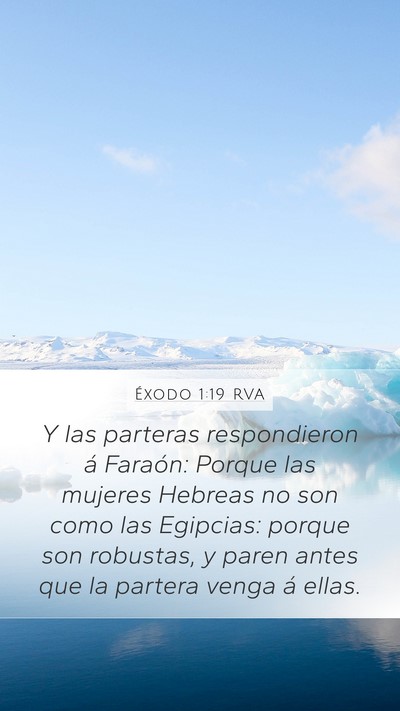 Éxodo 1:19 RVA Bible Verse Image