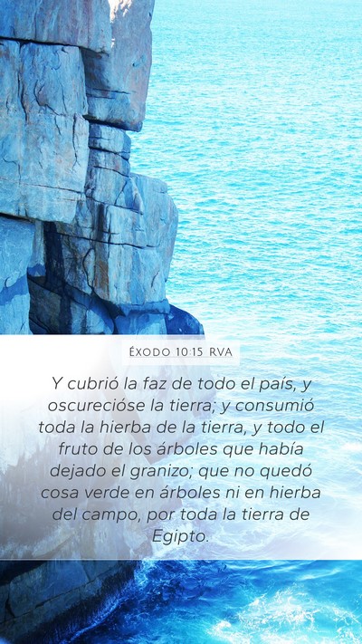 Éxodo 10:15 RVA Bible Verse Image