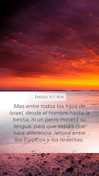Éxodo 11:7 RVA Bible Verse Image