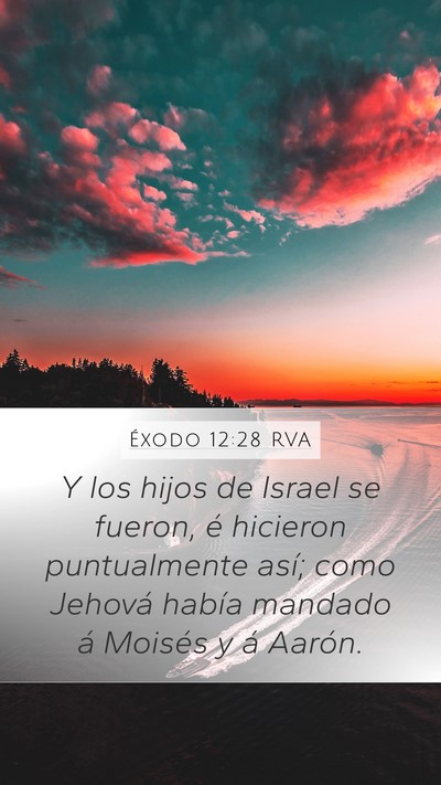 Éxodo 12:28 RVA Mobile Phone Wallpaper - Y los hijos de Israel se fueron, é hicieron - Mobile Bible Verse Wallpaper
