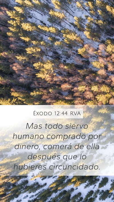 Éxodo 12:44 RVA Bible Verse Image