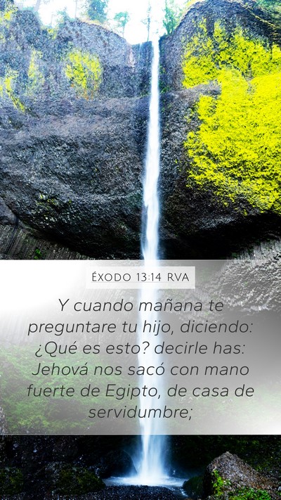 Éxodo 13:14 RVA Bible Verse Image