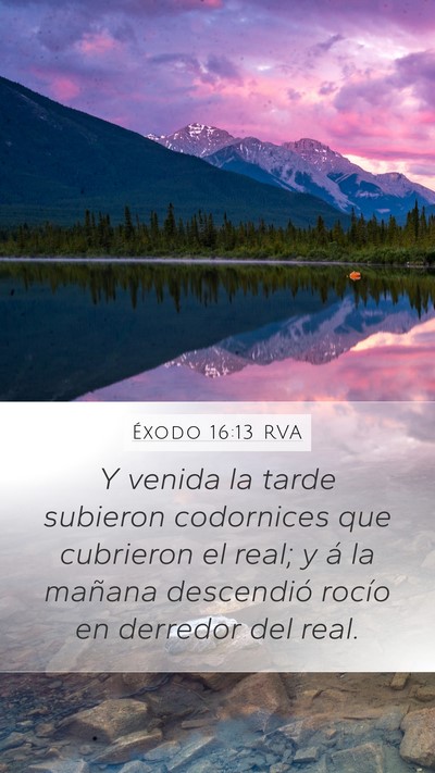 Éxodo 16:13 RVA Bible Verse Image