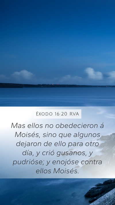 Éxodo 16:20 RVA Bible Verse Image