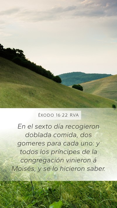 Éxodo 16:22 RVA Bible Verse Image