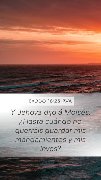 Éxodo 16:28 RVA Bible Verse Image