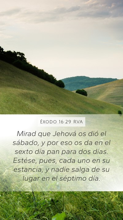 Éxodo 16:29 RVA Bible Verse Image