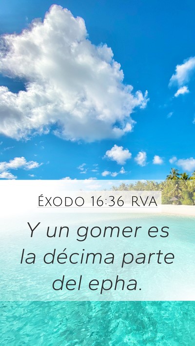 Éxodo 16:36 RVA Bible Verse Image