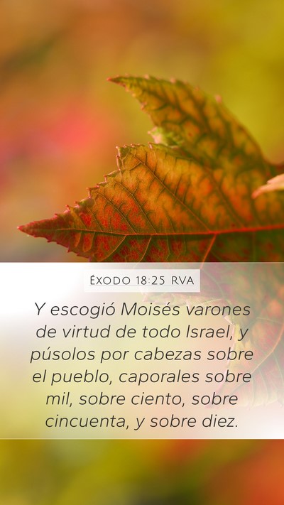 Éxodo 18:25 RVA Bible Verse Image