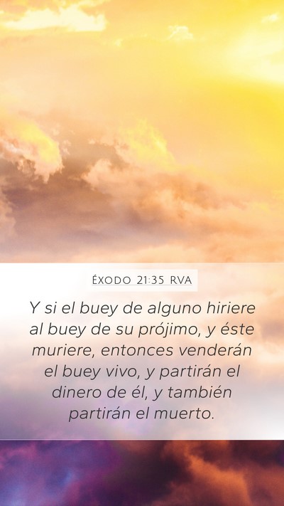 Éxodo 21:35 RVA Mobile Phone Wallpaper - Y si el buey de alguno hiriere al buey de su - Mobile Bible Verse Wallpaper