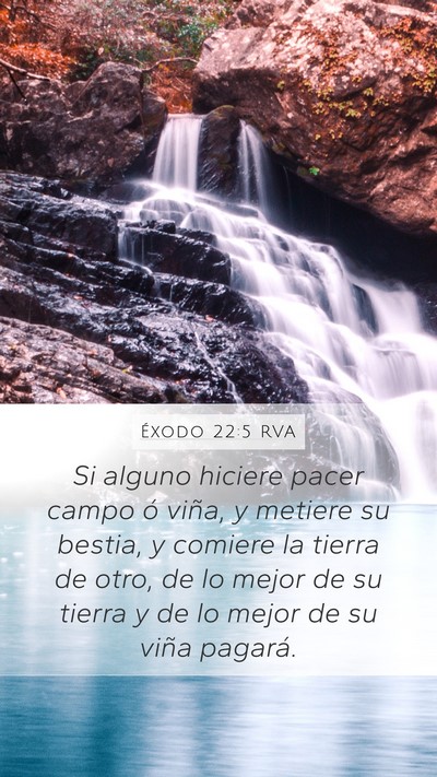 Éxodo 22:5 RVA Mobile Phone Wallpaper - Si alguno hiciere pacer campo ó viña, y metiere - Mobile Bible Verse Wallpaper