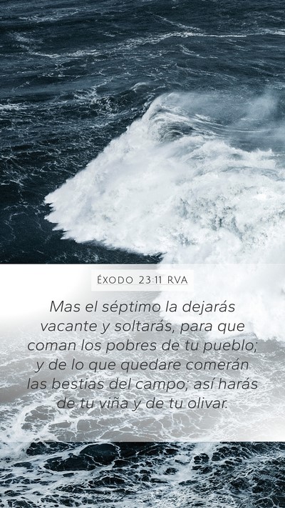 Éxodo 23:11 RVA Bible Verse Image