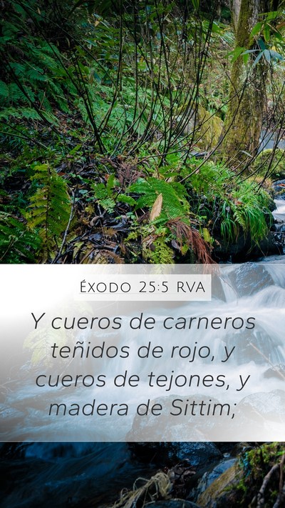 Éxodo 25:5 RVA Bible Verse Image