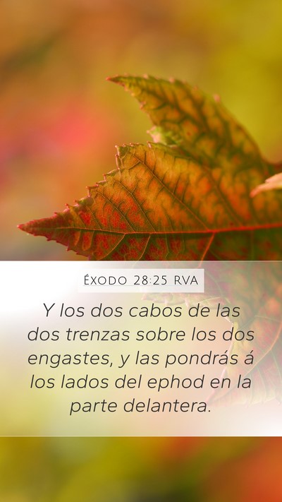 Éxodo 28:25 RVA Bible Verse Image