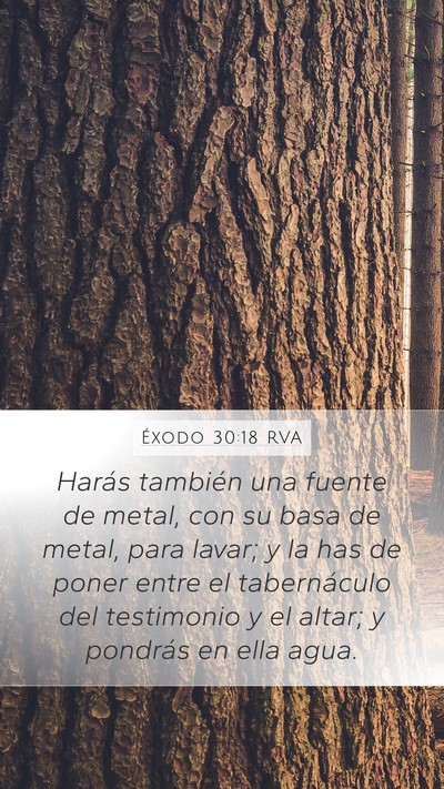 Éxodo 30:18 RVA Bible Verse Image