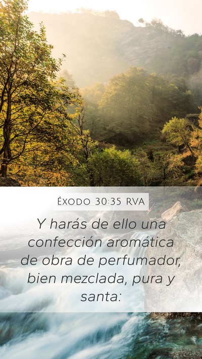 Éxodo 30:35 RVA Mobile Phone Wallpaper - Y harás de ello una confección aromática de - Mobile Bible Verse Wallpaper
