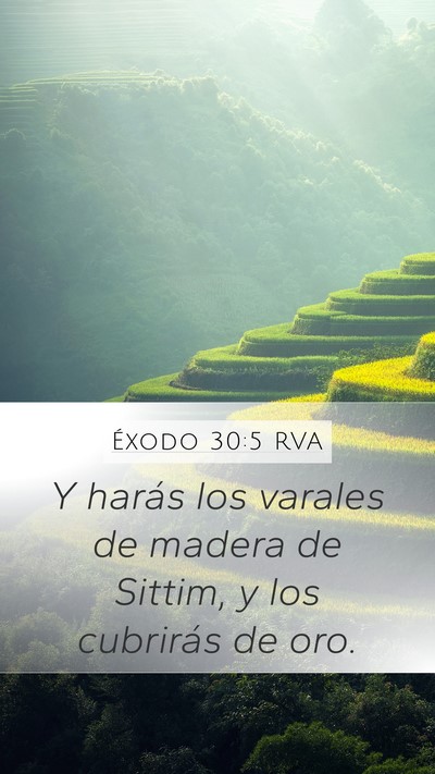 Éxodo 30:5 RVA Bible Verse Image