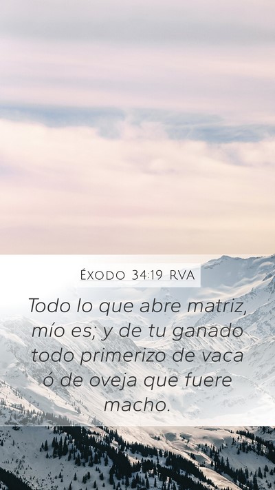Éxodo 34:19 RVA Bible Verse Image