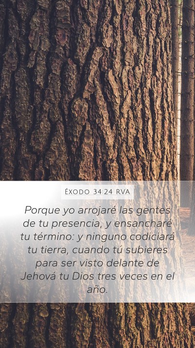 Éxodo 34:24 RVA Bible Verse Image