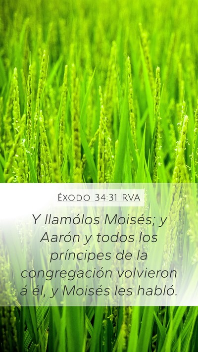 Éxodo 34:31 RVA Bible Verse Image