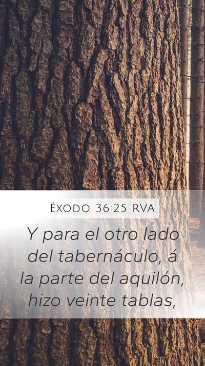 Éxodo 36:25 RVA Mobile Phone Wallpaper - Y para el otro lado del tabernáculo, á la parte - Mobile Bible Verse Wallpaper