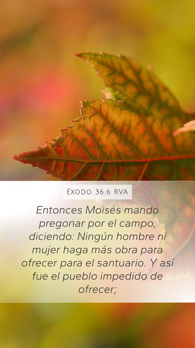 Éxodo 36:6 RVA Mobile Phone Wallpaper - Entonces Moisés mandó pregonar por el campo, - Mobile Bible Verse Wallpaper