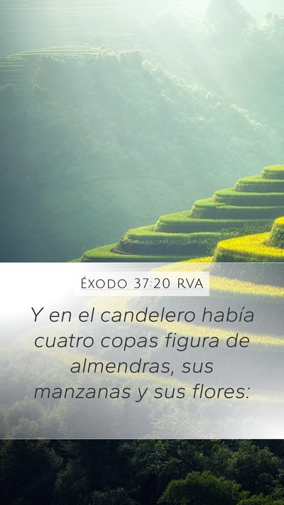 Éxodo 37:20 RVA Bible Verse Image
