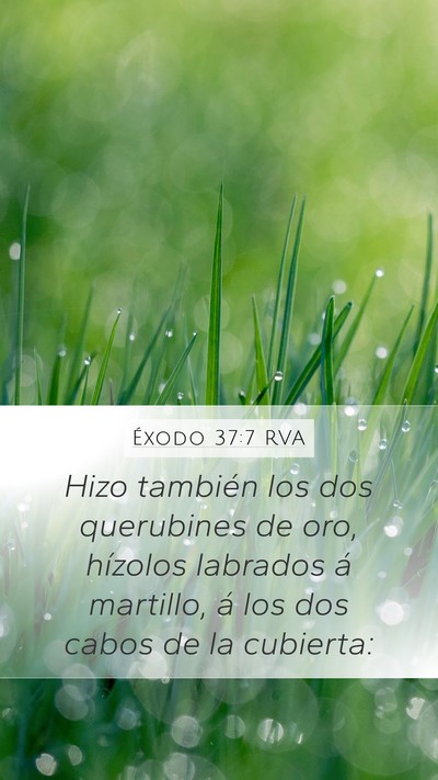Éxodo 37:7 RVA Bible Verse Image