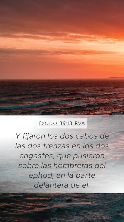Éxodo 39:18 RVA Mobile Phone Wallpaper - Y fijaron los dos cabos de las dos trenzas en los - Mobile Bible Verse Wallpaper