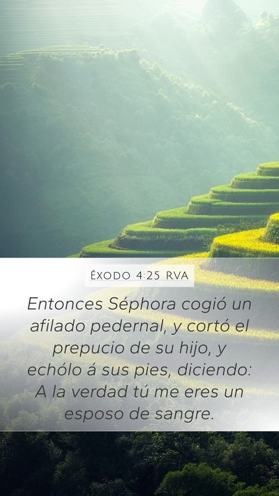Éxodo 4:25 RVA Bible Verse Image
