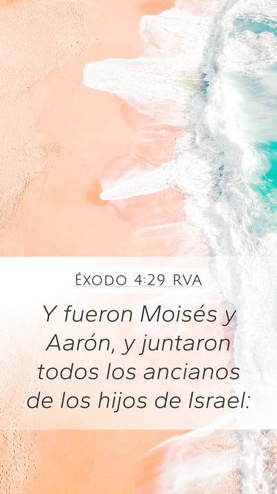 Éxodo 4:29 RVA Bible Verse Image